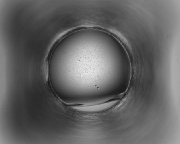 X0000094231175200711091309