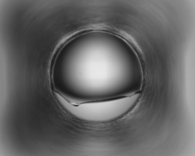 X0000094231176200711091309