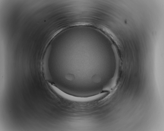 X0000094231177200711091309