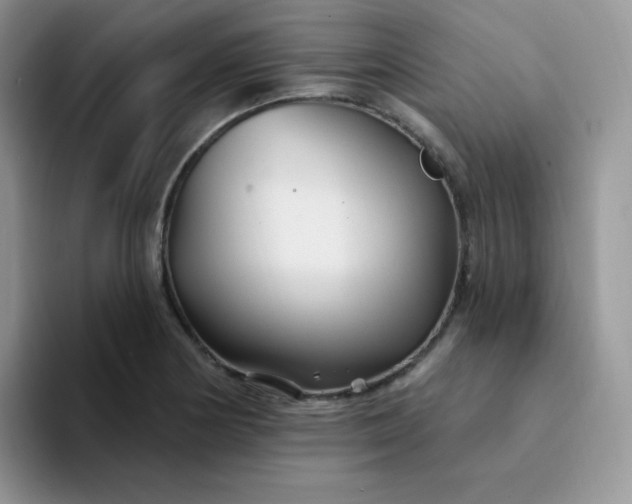 X0000094231178200711091309