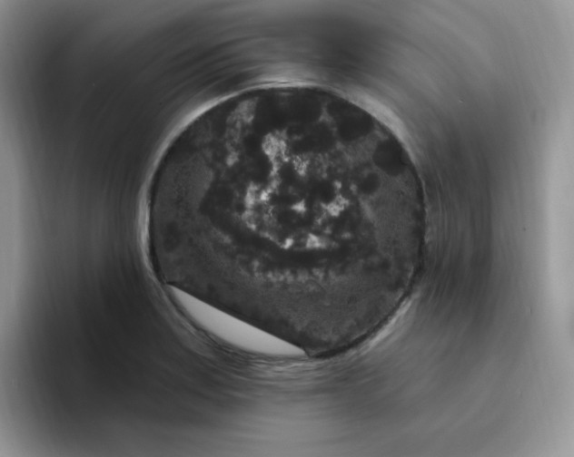 X0000094231179200711091309