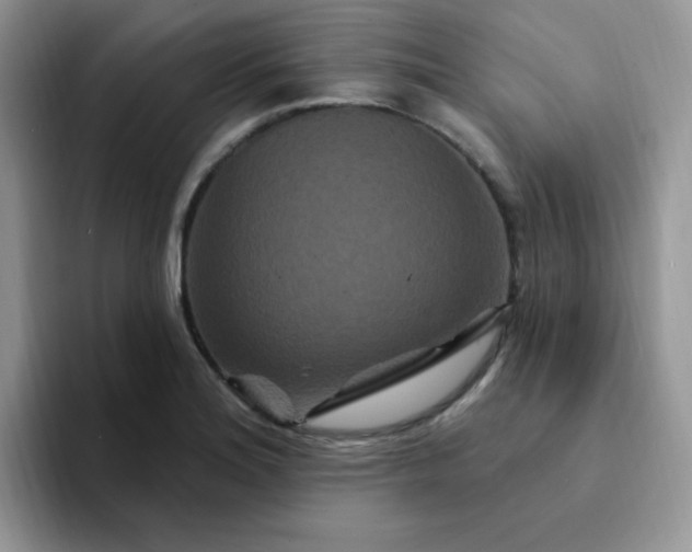 X0000094231180200711091308