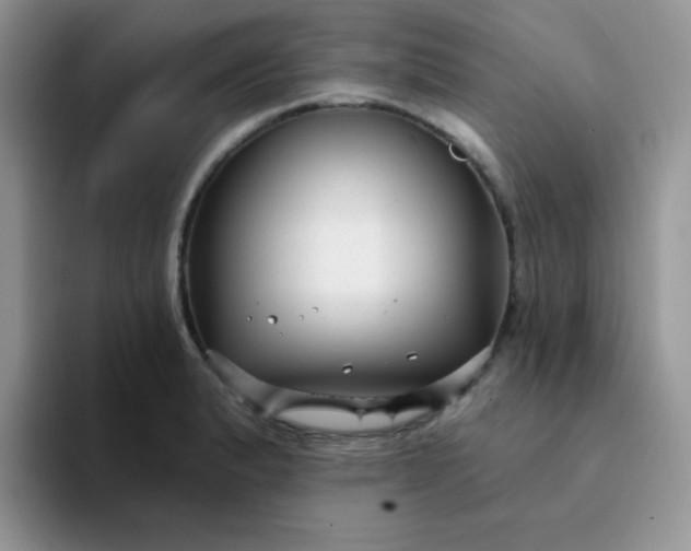 X0000094231183200711091308