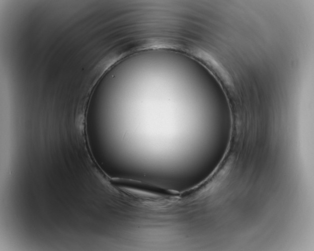 X0000094231185200711091308