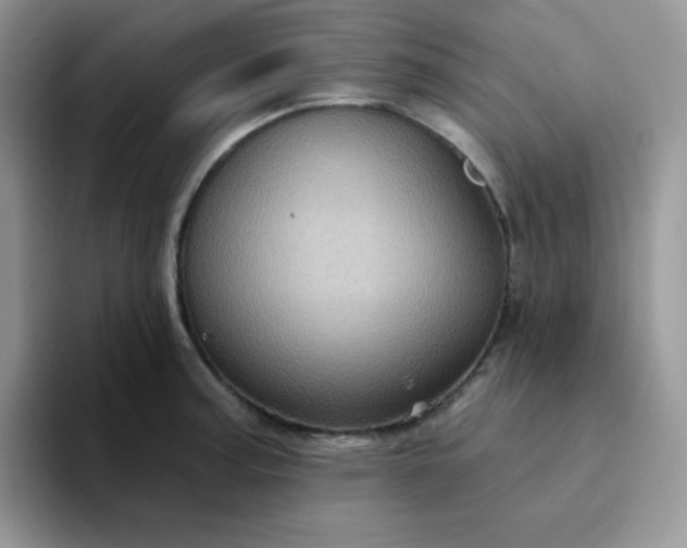 X0000094231187200711091308