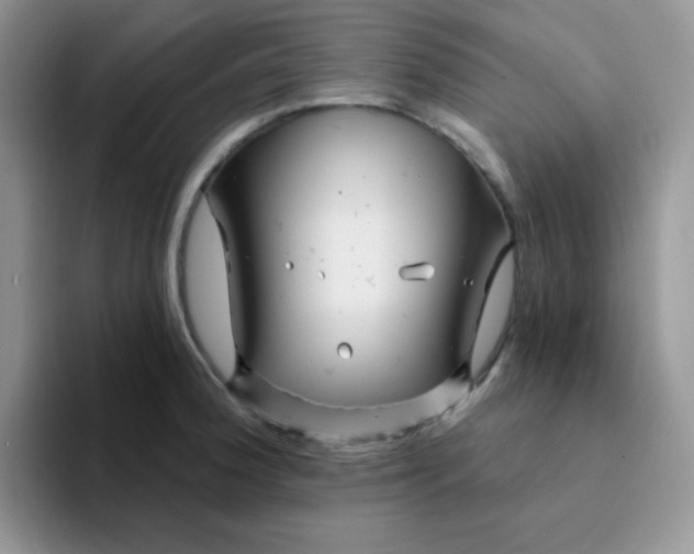 X0000094231188200711091308