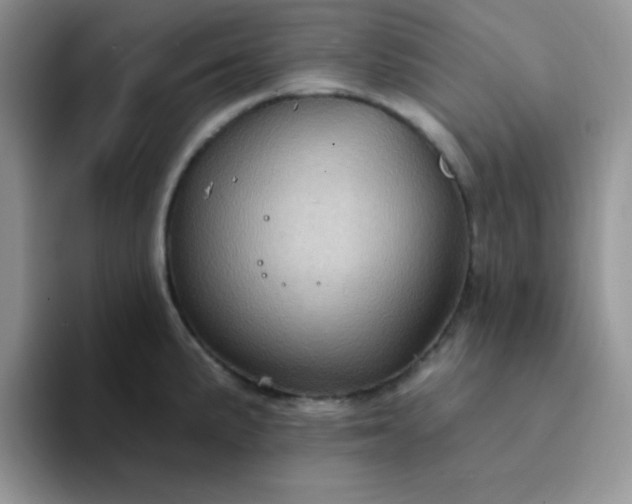 X0000094231191200711091308