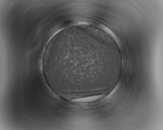 X0000094231194200711091308