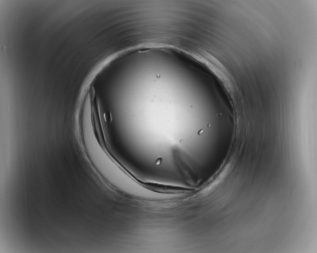 X0000094231196200711091308