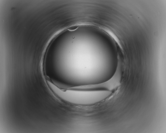 X0000094231197200711091308