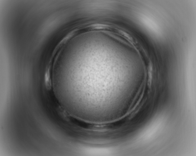 X0000094231198200711091308