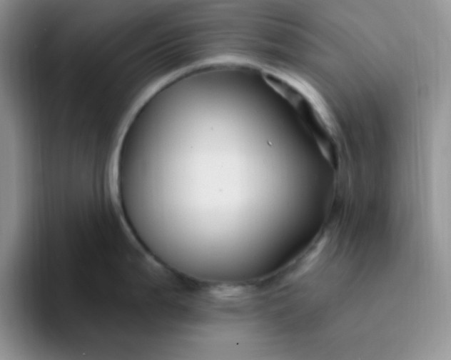 X0000094231199200711091308