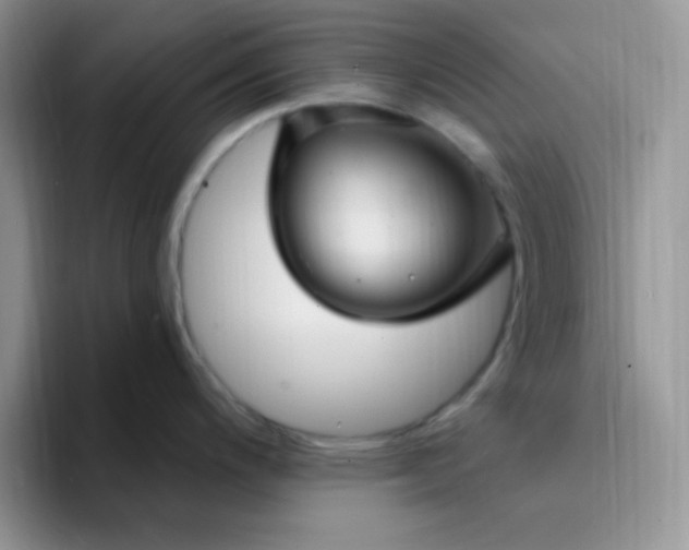 X0000094231200200711091308