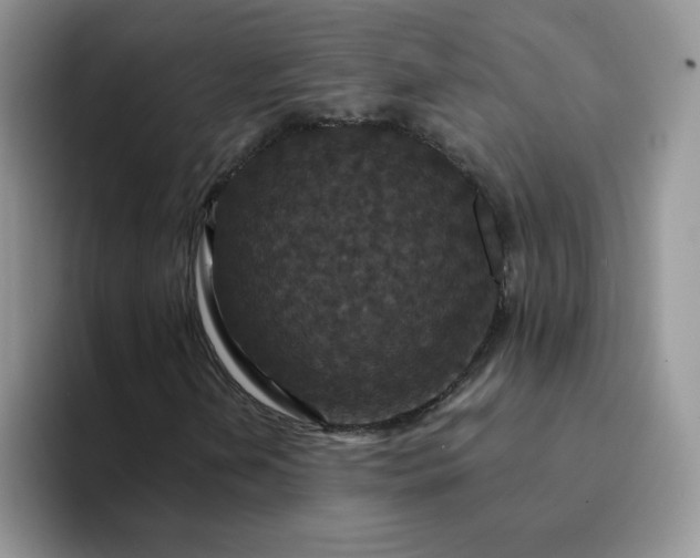 X0000094231202200711091308