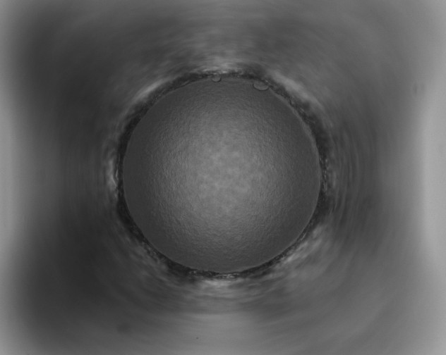 X0000094231206200711091308