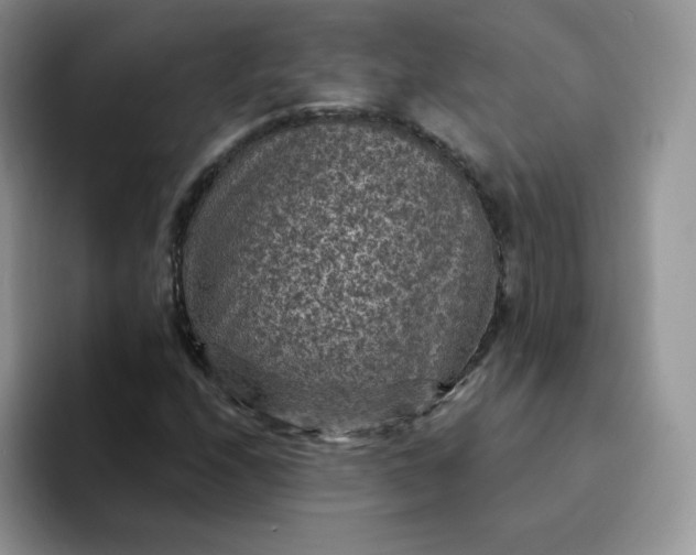 X0000094231208200711091308