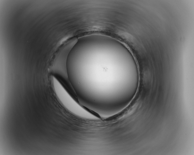 X0000094231210200711091308