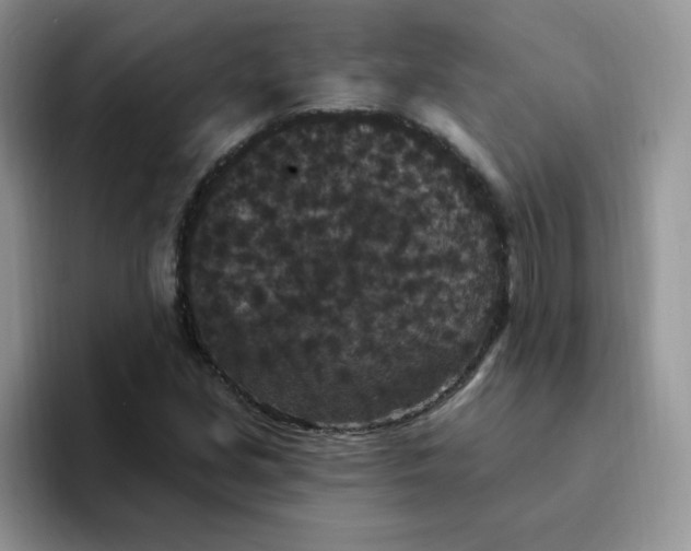 X0000094231213200711091308