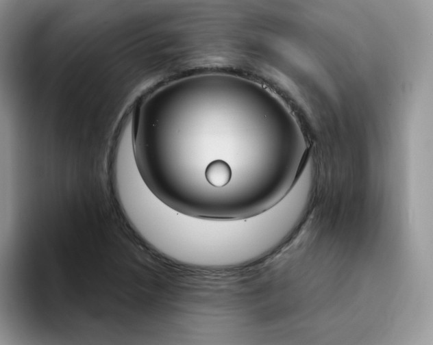 X0000094231218200711091308