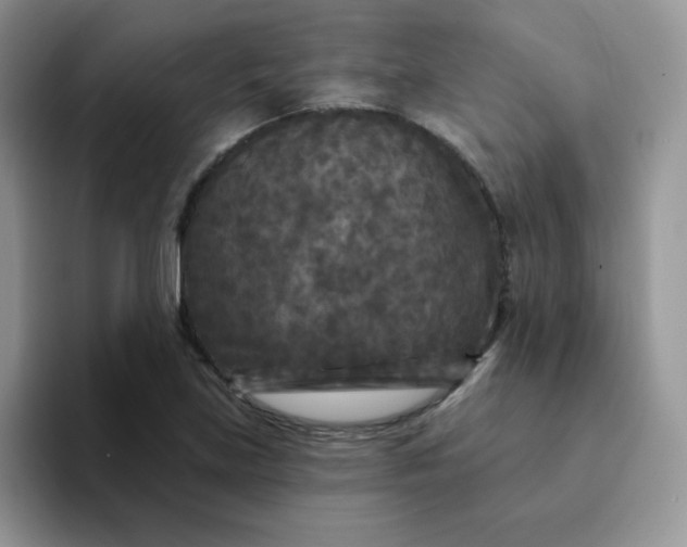 X0000094231219200711091308