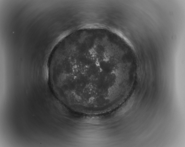 X0000094231221200711091308