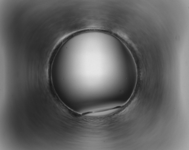 X0000094231222200711091308