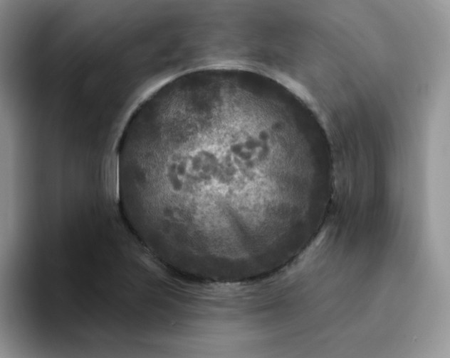 X0000094231223200711091308