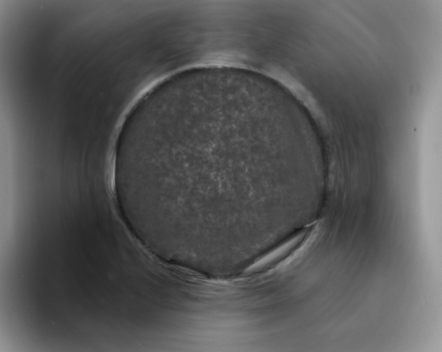 X0000094231224200711091308