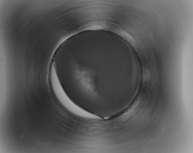 X0000094231226200711091308