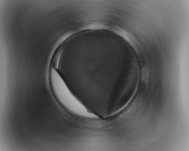 X0000094231229200711091308