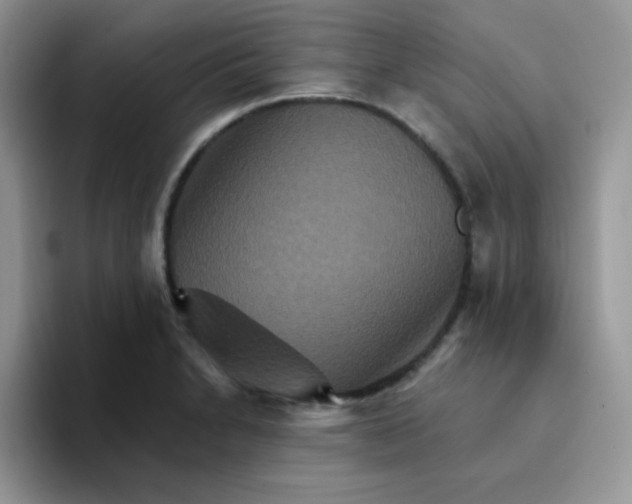 X0000094231230200711091308