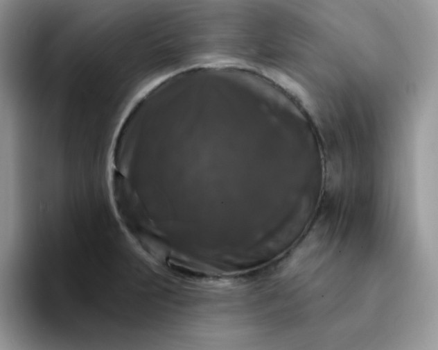 X0000094231231200711091308