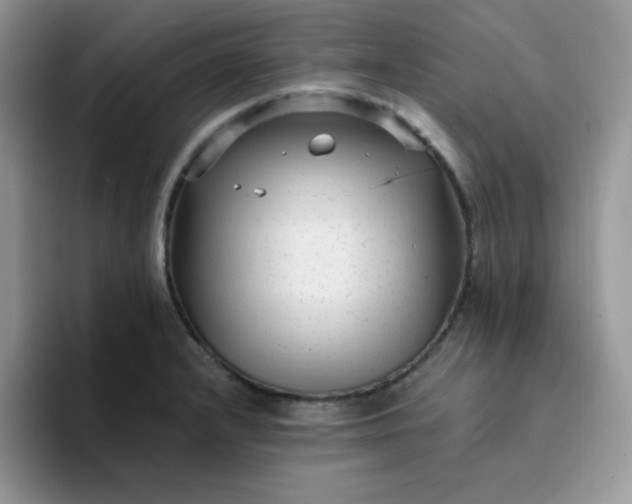 X0000094231232200711091308