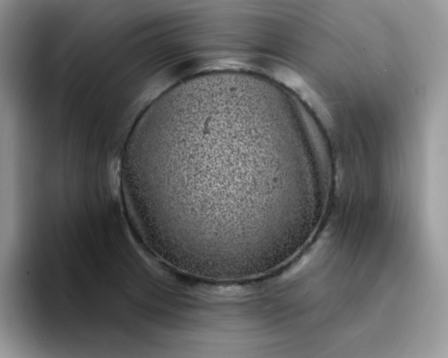 X0000094231233200711091308