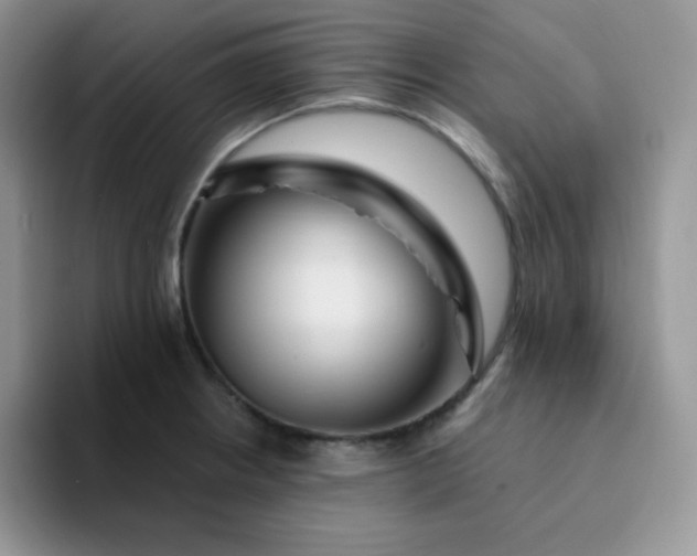 X0000094231234200711091308