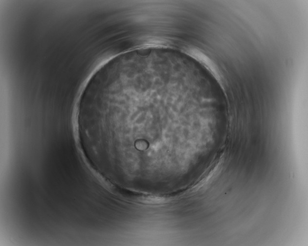 X0000094231235200711091308