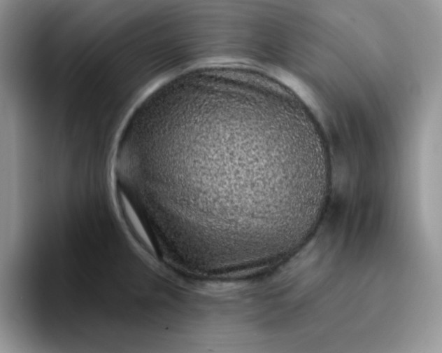 X0000094231237200711091308