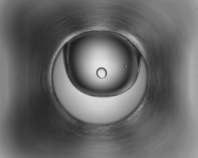 X0000094231238200711091308