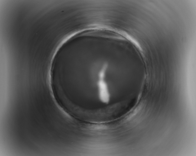 X0000094231239200711091308