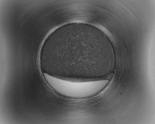 X0000094231240200711091308