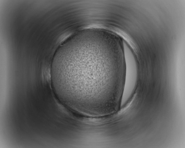 X0000094231241200711091308