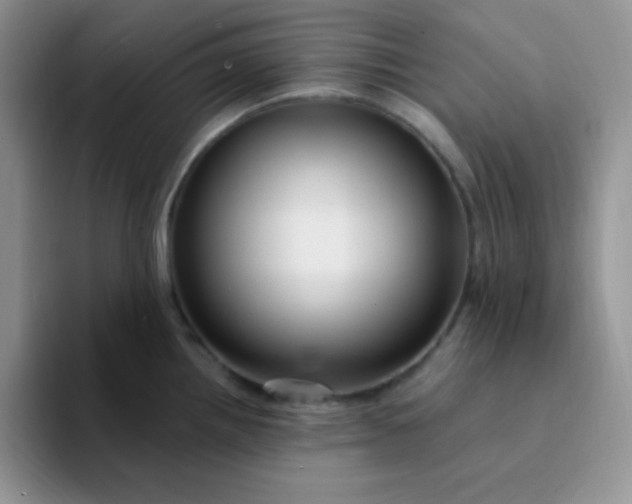 X0000094231242200711091308