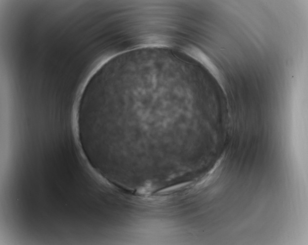 X0000094231243200711091308