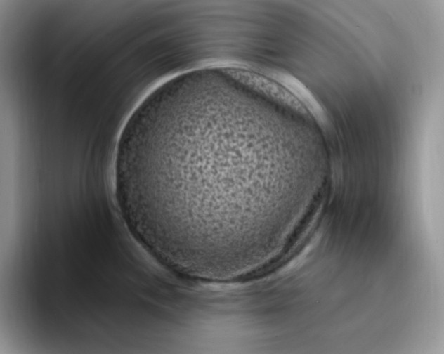 X0000094231244200711091308