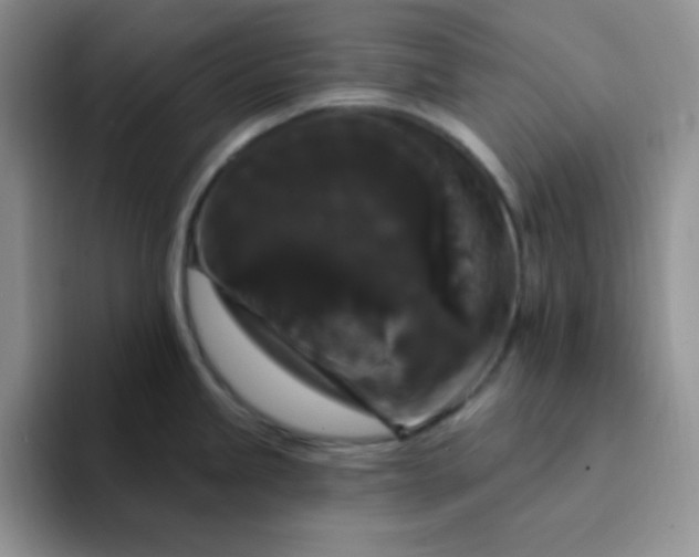 X0000094231245200711091308