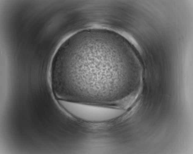 X0000094231247200711091308