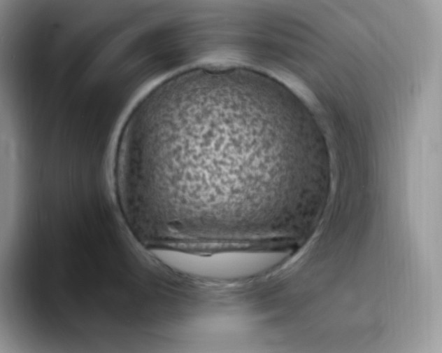 X0000094231248200711091308