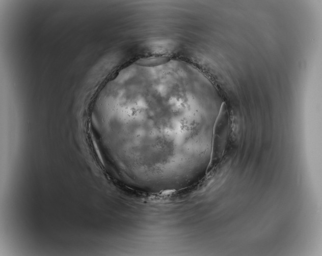 X0000094231249200711091308