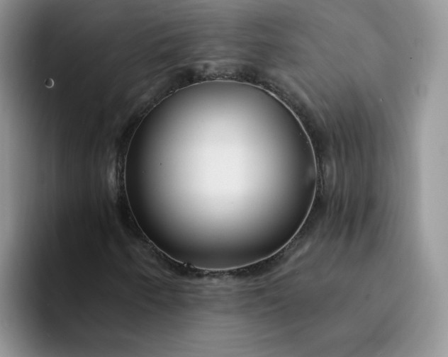 X0000094231250200711091308