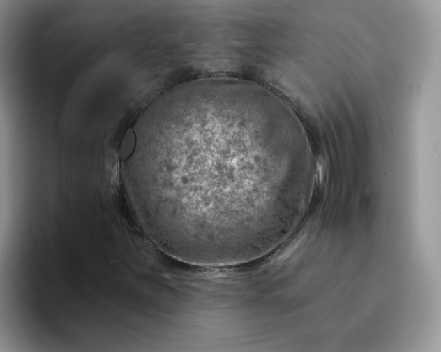 X0000094231251200711091308